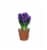 Assorted Bulbs in Clay Pot Perspective: back
