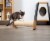 MyZoo Cylinder Replacement, Extend Cat scratcher, Scratching Post to 2 Times Length Perspective: back