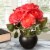 National Tree Company 9 Potted Pink Rose Flowers Perspective: back