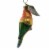 Old World Christmas Sun Conure Ornament Vocal Lively 16133 Perspective: back