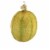 Old World Christmas Cantaloupe Glass Ornament Melon Fruit 28083 Perspective: back