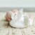 Goumikids Soft Organic Stay On Baby Boots Infant Booties Shoes, 0-3M Drop Gray Perspective: back
