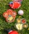 Crunch Pak® Nickelodeon™ Paw Patrol™ Peeled Sweet Apples Fruit Snacks Cheese and Cookies Snack Tray Perspective: back