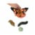 Insect Lore Butterfly Life Cycle Stages Perspective: back