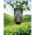 Magic Mesh Hanging Insect Trap EA Perspective: back