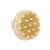 Daily Detox Brush Perspective: back