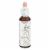 Bach® Original Flower Remedies Water Violet Perspective: back
