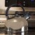 Primula Today Colin Stainless Steel 3-qt Whistling Kettle - Brushed Perspective: back