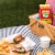 Horizon Organic® DHA Omega-3 Whole Milk Perspective: back