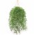 All Weather Artificial Springeri Plant Hanging with 9 Branches 31 Perspective: back