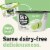 SO Delicious® Key Lime Dairy Free Coconut Milk Yogurt Cup Perspective: back
