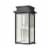 Braddock 20'' High 4-Light Outdoor Sconce - Architectural Bronze Perspective: back