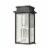 Braddock 20'' High 4-Light Outdoor Sconce - Architectural Bronze Perspective: back