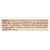 Think! Thin Protein and Fiber Bar - S'Mores - Case of 10 - 1.41 oz. Perspective: back