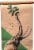 Tony's™ Coffee Organic French Royale Dark Roast Coffee Perspective: back