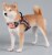 Dog Helios - 'Scorpion' Sporty High-Performance Free-Range Dog Harness Perspective: back