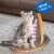 Yeah Depot - Cat Condo Scratcher Post Cardboard, Scratching Board Perspective: back