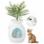 Smart Plant Cat Litter Box with Electronic Odor Removal System - Stylish & Innovative Perspective: back