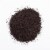 The Organic Coffee Co.® French Roast Ground Coffee Perspective: back