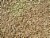 Coles Wild Bird Product 2967727 SM10 Sunflower Wild Bird Seed Perspective: back