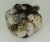 Neutral White Decorative Mushroom Mix Assorted Dried Botanicals In a Bag Perspective: back