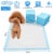 50Pcs Set Dog Training Pads Puppy Pee Pads Cat Wee Mats Potty Train Perspective: back