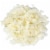 Instant Dry Yeast Perspective: back