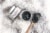 Vana Essentials Organic Charcoal Face Scrub 50 gms (with Walnut Shell powder) Perspective: back