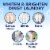 OxiClean™ White Revive Laundry Stain Remover Perspective: back