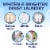 OxiClean White Revive Laundry Whitener and Stain Remover Liquid Perspective: back