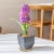 Cork Plant Mat Perspective: back