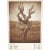 Four Vines Old Vine Zinfandel California Red Wine Perspective: back