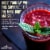 Certified Organic Beet Juice Powder 16 oz Raw Vegan & Gluten Free (Beet Juice Powder, 16 oz) Perspective: back
