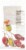 Janie's Candies Bubble Gum Pops Candy Perspective: back