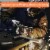 Portable Weld Torch Tank Kit Twin Tote Oxygen Acetylene Oxy Cutting Brazing DOT Perspective: back