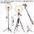 10x8.5 Ft Background Backdrop Stand Kit 12 LED Ring Light Dimmable Photo Video Perspective: back