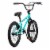 AVASTA 20 Inch Kid Freestyle BMX Bicycle for Beginner Riders, Ages 8 & Up, Mint Perspective: back