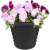 Akro Mils LIA06000G18 6 in. Classic Pot, Black Perspective: back