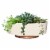 The HC Companies Vanilla Bisque Capri Bowl Planter Perspective: back