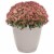 The HC Companies Plastic Eclipse Round Planter - Cottage Stone Perspective: back