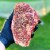 Greensbury Organic Grass-Fed Ribeye Steak (10 Steaks, 10oz each) Perspective: back