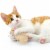 SmartyKat® Madcap Mania™ Refillable Mouse Catnip Cat Toy Perspective: back