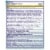 Azo Urinary Tract Defense Antibacterial Protection Tablets Perspective: back