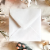 Mini Greeting Card - Wildflower Seeded - 3x3 - Edgar Allen Poe All I loved, I Loved Alone Perspective: back
