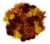 Jumbo Poms Assorted Bouquet Perspective: back
