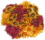 Fresh Picked Poms Fresh Cut Flower Bouquet Perspective: back