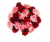 Carnation Rose Bouquet Perspective: back