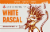 Avery White Rascal Belgian-Style White Ale Craft Beer Cans Perspective: back