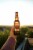Ace Fermented Apple Cider Perspective: back