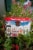 Ace Cider Variety Pack Perspective: back